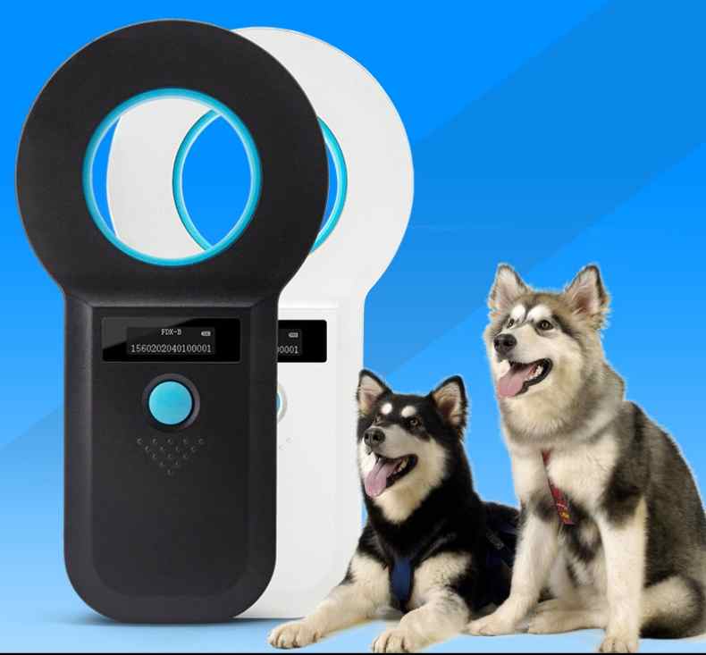 PIT Tag Reader for Fish Choose the Right Tool for Accurate Data Capture